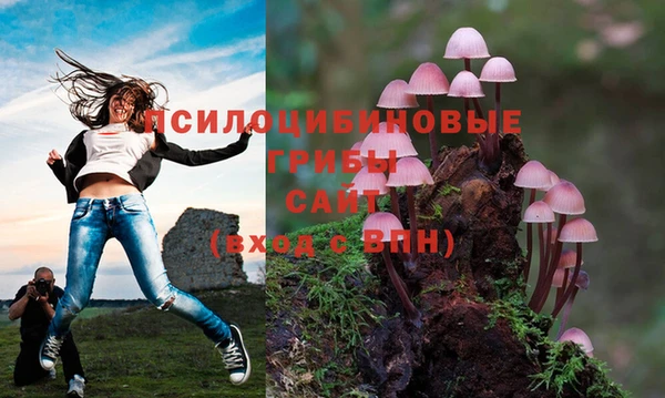 стафф Михайлов