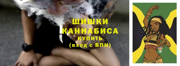 стафф Михайлов