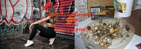 кристаллы Навашино