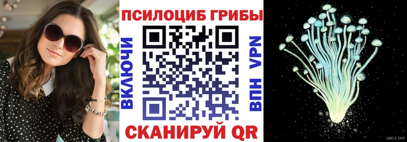 Галлюциногенные грибы Psilocybe  гидра как зайти  Нефтекамск 