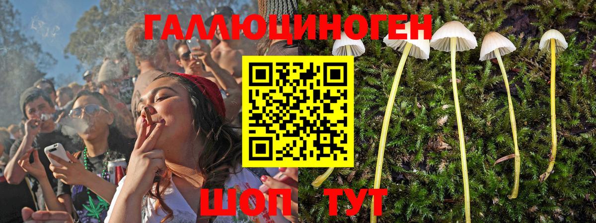 Галлюциногенные грибы прущие грибы  Вход с VPN  Нефтекамск 
