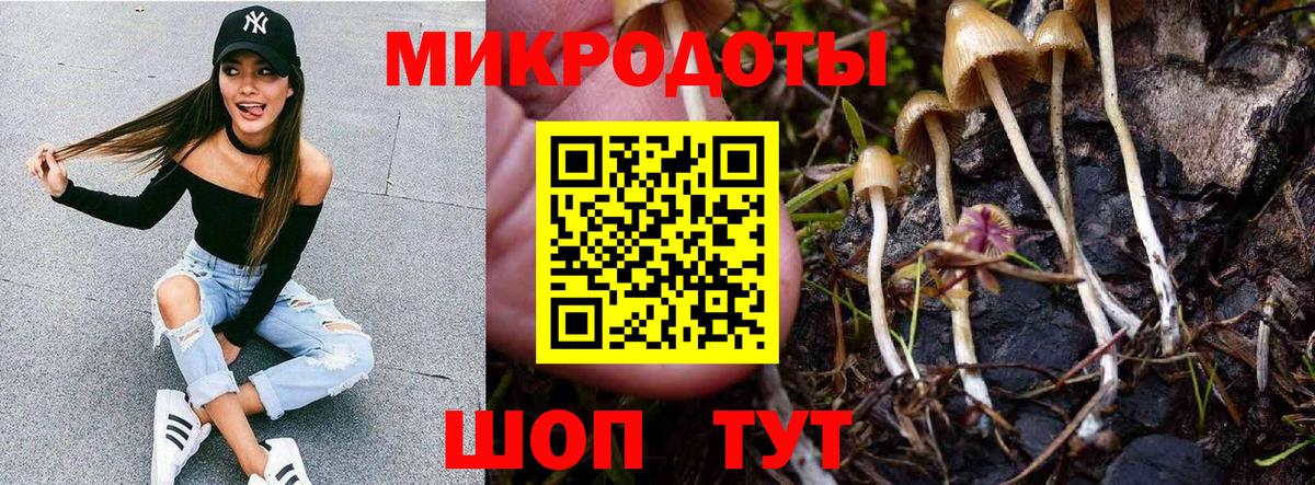 Псилоцибиновые грибы Magic Shrooms Нефтекамск